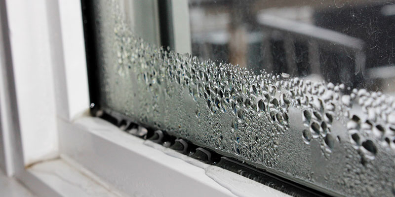 Condensation on a window 